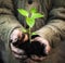 Hands holding green sapling with soil