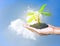 Hands holding the growth plant a tree with sky and cloud cloud heart shape background. Earth Day and Save world conservation wild