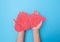 Hands holding a human liver from plasticine on a blue background. The concept of a healthy liver transplant. Donation