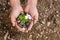 Hands holding many coin with baby plant on top.