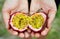 Hands holding Passionfruit