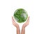 Hands holding planet Earth made from Green tree isolated on White Background