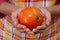 Hands holding pomegrante fruit