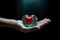 hands holding red heart, health care, love, organ donation, mindfulness, wellbeing, family insurance and CSR concept