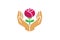 Hands Holding Red Rose Flower Care Logo