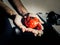 Hands holding a red tomato shaped kitchen and pomodoro timer.