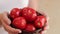 Hands holding red tomatoes from the organic vegetable garden