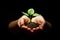 Hands holding sapling soil