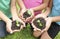 Hands holding sapling in soil surface