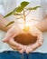 Hands holding seedling trees