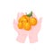 Hands holding several ripe apricots fruits, appetizing apricots in hands vector icon in cartoon style.