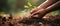 Hands Holding a Small Plant for Sustainable Gardening