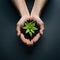 Hands holding a succulent plant on dark background