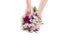 Hands holding a summer bouquet from pink and purple gillyflowers and alstroemeria on white