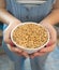 Hands holding a white bowl of barley malt grains.