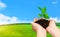 Hands holding young green plant on meadow and sky background. Save Earth.