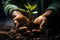 Hands holding young green plant in soil, closeup. Earth day concept