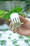 Hands holding young letttuce in white small pot. Hydroponic system.