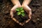 Hands holding young plants on the back soil