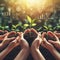 Hands holding young plants on natural background of growth of plant