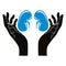 Hands with human kidneys vector symbol.