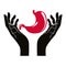 Hands with human stomach vector symbol.