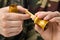 Hands of the hunter clean the wooden duck call