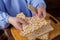 The hands of Jewish women at the Pesach Seder table breaks matzo