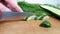 Hands knife cut cucumber