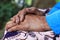 Hands on lap. Grandmother sitting with her hands on lap. Mothers day concept. Asian senior woman with wrinkle stacked hand.