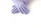 Hands in Lilac Silk Lined Hair sheep Leather Gloves