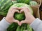 Hands make heart on watermelon, summer sweets