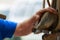 The hands of a man fixing the horseshoe of a horse