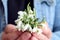 Hands of a man holding a bouquet of fresh snowdrops, close-up