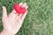 Hands of a man holding a red hart as symbol of love. valentine d