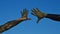 Hands of man and woman raised against blue clear summer skies, covered with black healing mud and hand backs