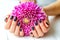 Hands with manicure and pink flower