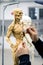 Hands of the master sculpt a sculpture of the human skeleton with muscles on a blurred background. Vertical frame