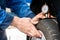 Hands Of Mechanic Pressing Gauge Into Tire In Garage