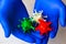 Hands in medical gloves holds virus models in white, red and green colors.