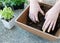 Hands mix up planting soil in square planter