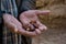 Hands of Moroccan man teaching freshly picked dates