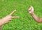 Hands of mother and daughter, Scissors and rock - hands on green grass background