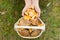 Hands with mushrooms and basket in forest