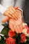 Hands of newly-married