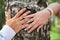 Hands of newly married couple on trunk of birch, close up