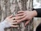 Hands of newly wedded on background of trunk of pine