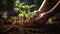 Hands nurturing soil for plant growth. Agriculture, gardening, and ecology concept. Female hands delicately touching the earth,