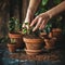 Hands nurturing a sprout in a terracotta pot amidst other potted plants on a wooden surface.