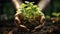 Hands nurturing a young plant in support of eco-conscious, sustainable living. Earth Day concept with focus on environmental care